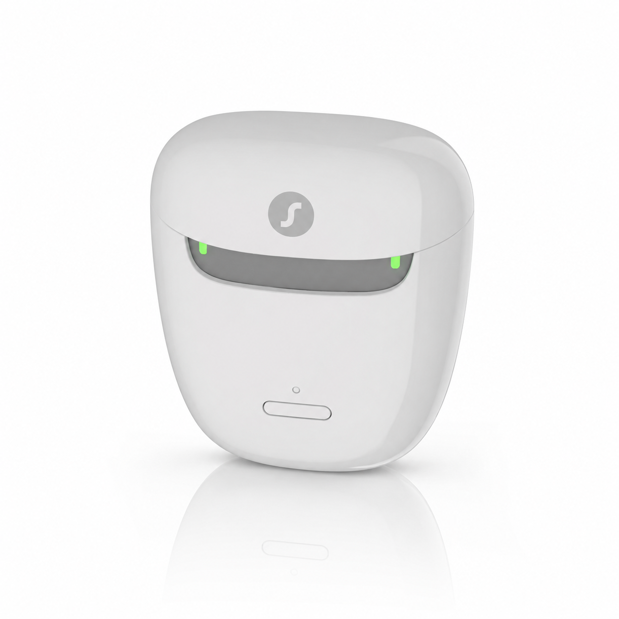 signia portable charger RIC
