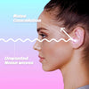 LED Concert Earplugs